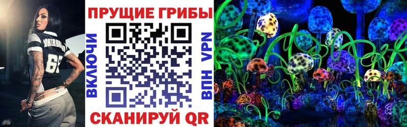 ОМГ ОМГ зеркало  Кемь  Псилоцибиновые грибы мухоморы 