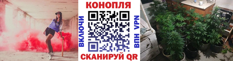 купить наркотики сайты Кемь Марихуана LSD WEED